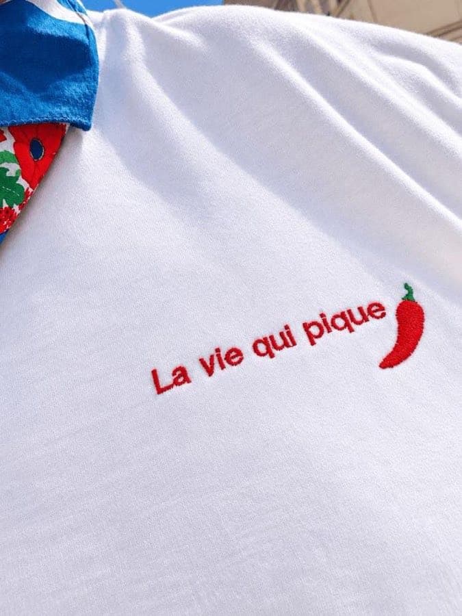 slider-broderie-la-vie-qui-pique